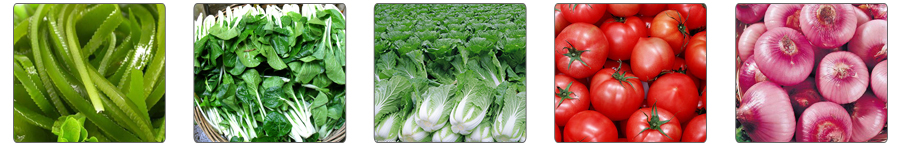 1537577433683845.jpg 高压水气泡清洗机应用案例.jpg