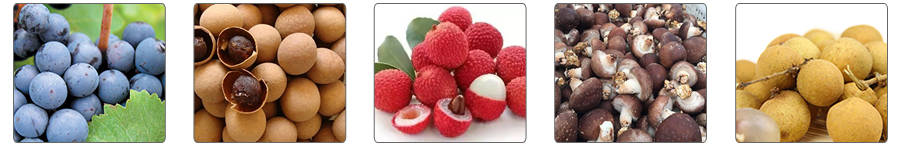 1537577956129793.jpg 滚筒清洗机应用案例.jpg