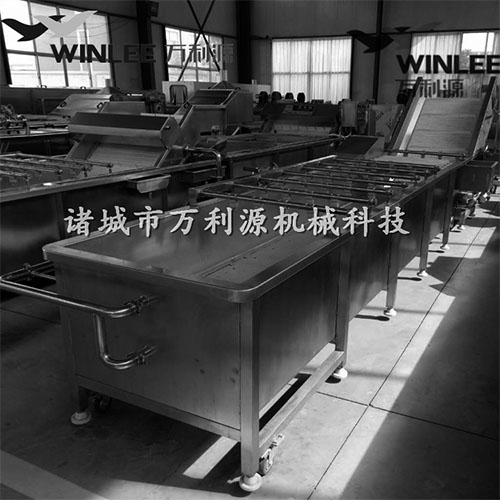 草莓气泡清洗机