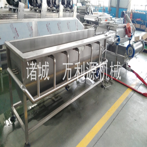 毛豆蔬菜清洗机